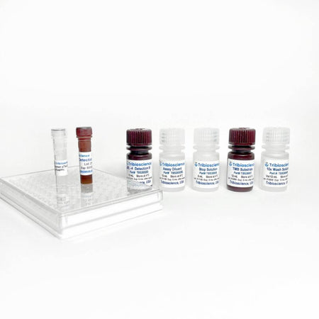 Tribioscience Tribo™ Mouse IL-4 ELISA Kit (TBS3032), Cell Assays, Tribioscience, MSE Supplies