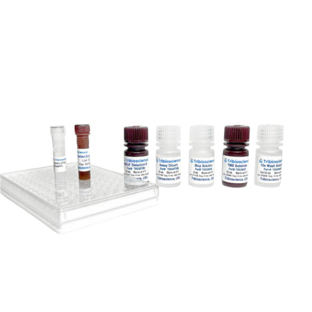 Tribioscience Tribo™ Mouse CCL3/MIP-1 α ELISA Kit (TBS3082)