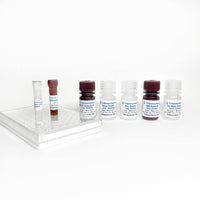 Tribioscience Mouse Glucagon ELISA (TBS3099), Cell Assays, Tribioscience, MSE Supplies