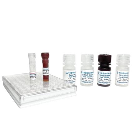 Tribioscience Tribo™ Human AFP ELISA Kit (TBS3212)