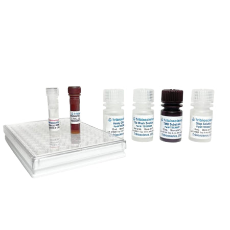Tribioscience Global Acetyl Histone H3K9 Quantification (Colorimetric) (TBS32121)