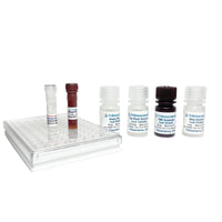 Tribioscience Total Histone H3 Acetylation Detection (Fluorometric) (TBS32122)