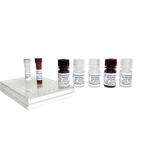Tribioscience Human IL-7 ELISA; 1 step and 1hr
