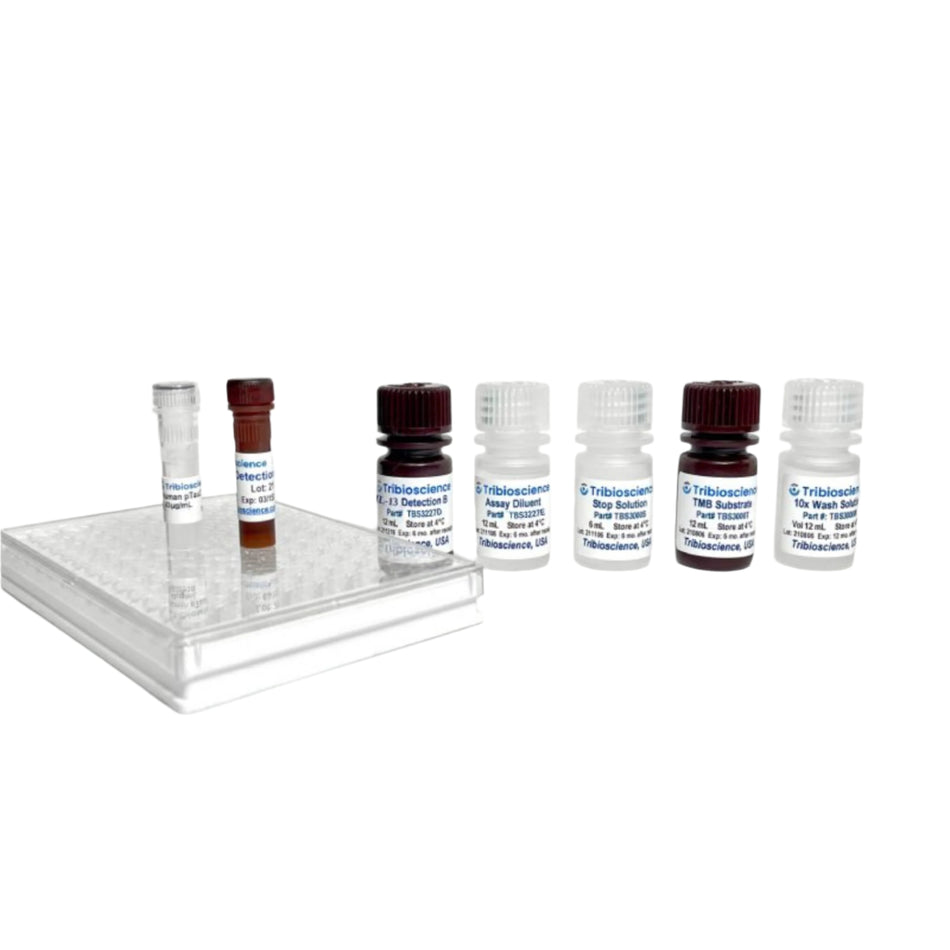 Tribioscience Human IL-13 ELISA; 1 step and 1hr