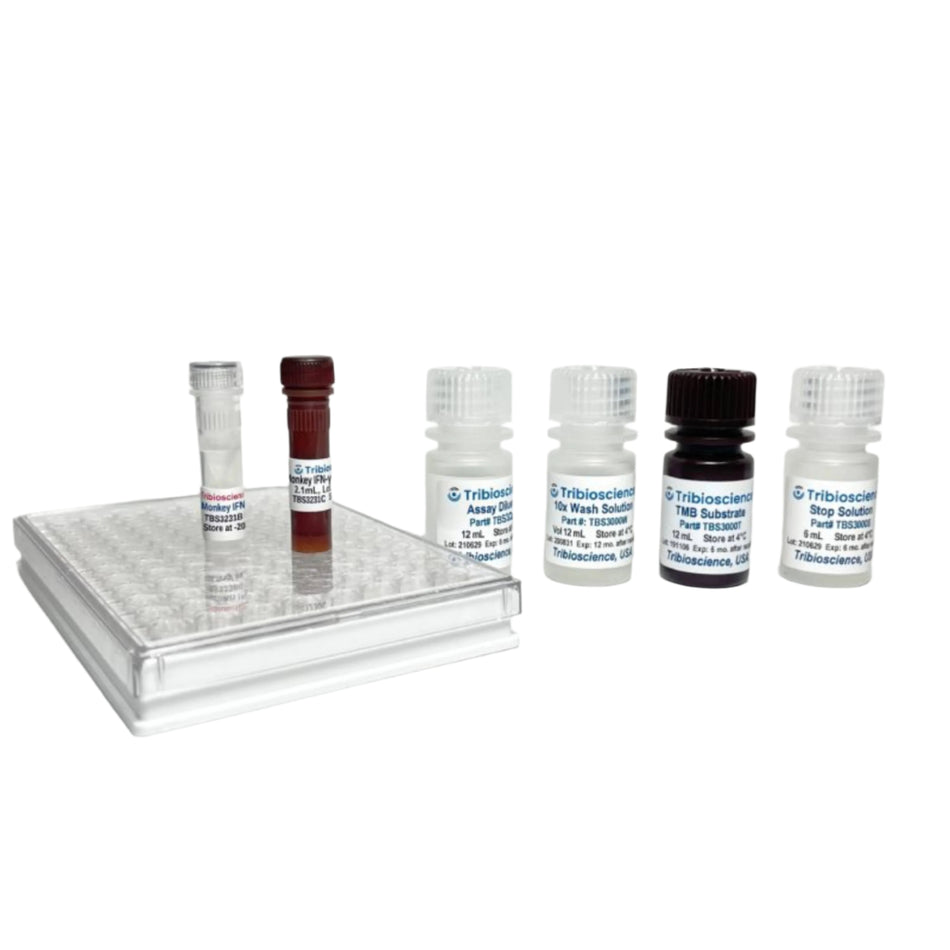 Tribioscience Fast Monkey IFN-γ ELISA
