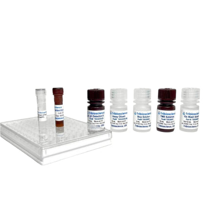 Tribioscience Ultra-Sensitive Fast Human TGF-β1 ELISA Kit