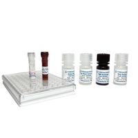 Tribioscience Human Transferrin Fast ELISA