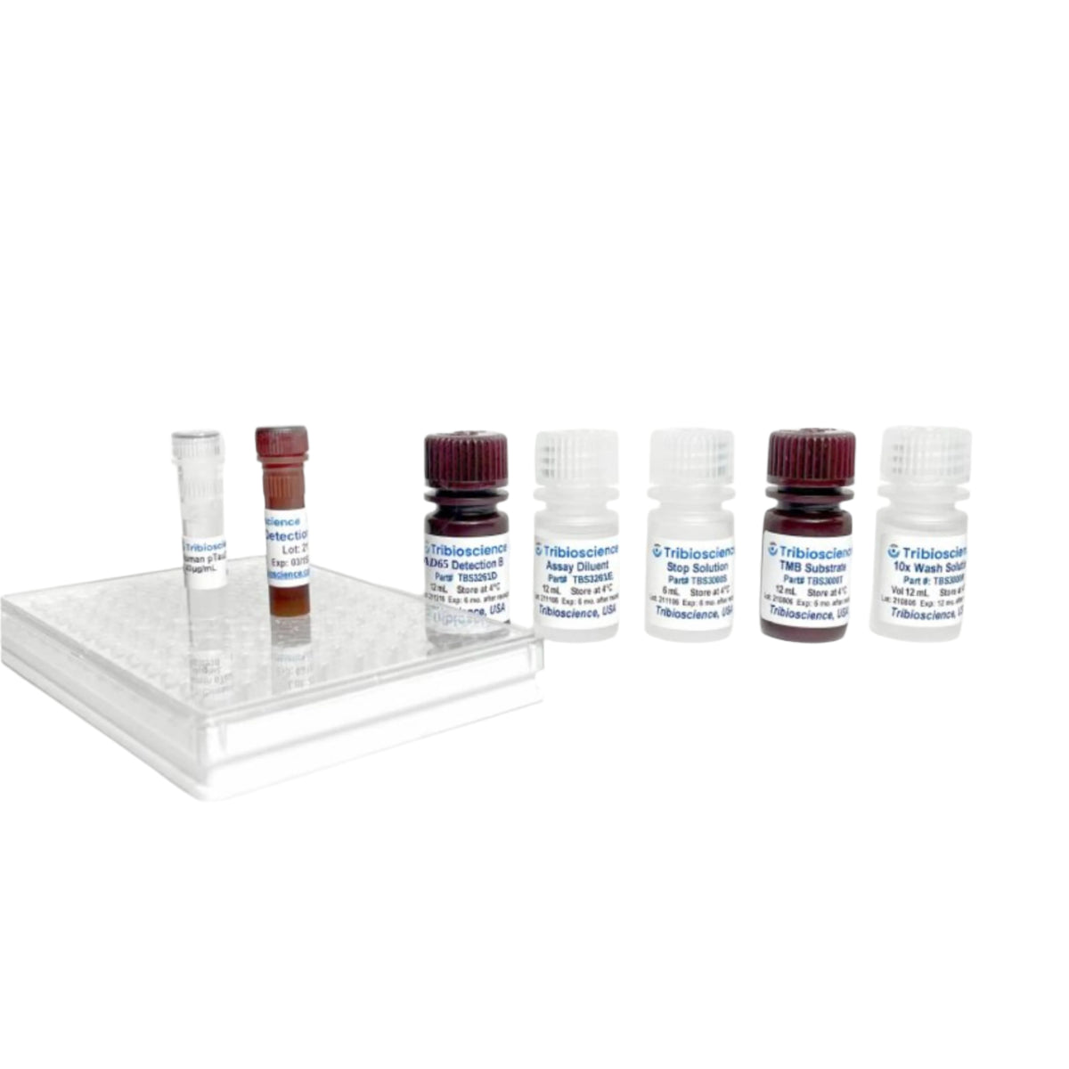 Tribioscience Human Glutamic Acid Decarboxylase 65/GAD65 Fast ELISA (TBS3261)