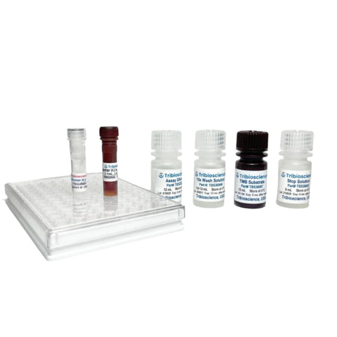 Tribioscience Human Total-H2AX Fast ELISA
