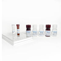 Tribioscience Equine IL2 / Interleukin-2 ELISA Kit