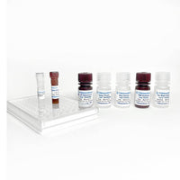 Tribioscience Equine IL-10 / Interleukin-10 ELISA Kit