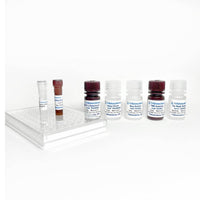 Tribioscience Equine IFN-Gamma ELISA Kit, Cell Assays, Tribioscience, MSE Supplies