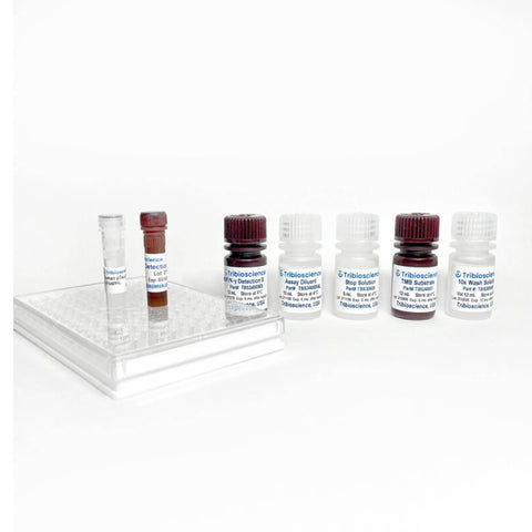 Tribioscience Equine IFN-Gamma ELISA Kit, Cell Assays, Tribioscience, MSE Supplies