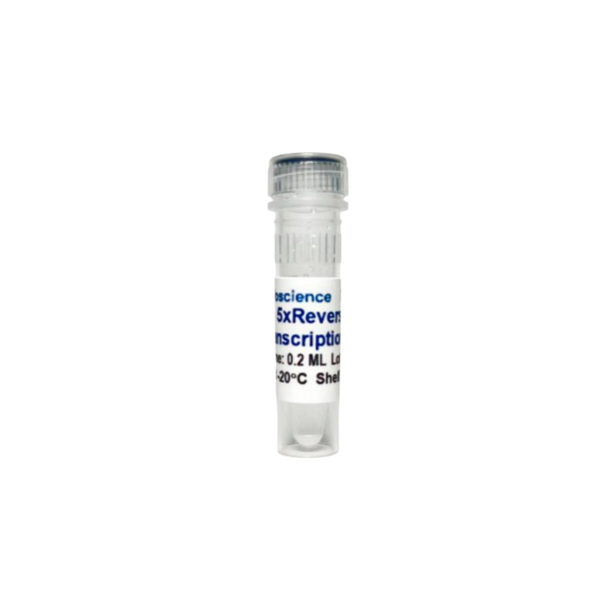 Tribioscience Tribo™ Reverse Transcription Reaction Kit (TBS4006)