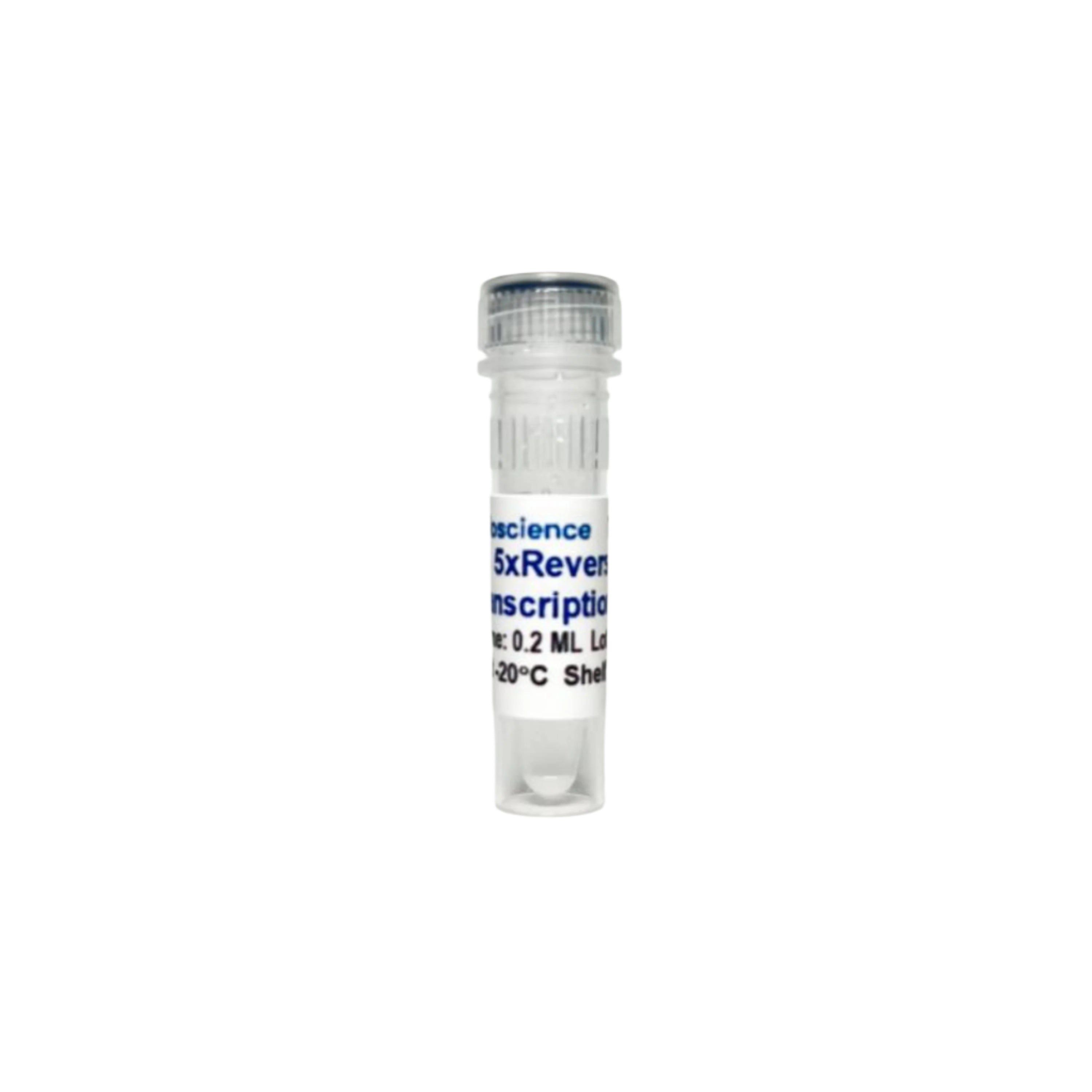 Tribioscience Tribo™ Reverse Transcription Reaction Kit (TBS4006)
