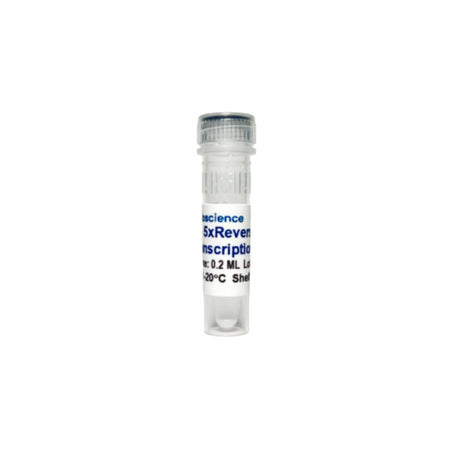 Tribioscience Tribo™ Reverse Transcription Reaction Kit (TBS4006)