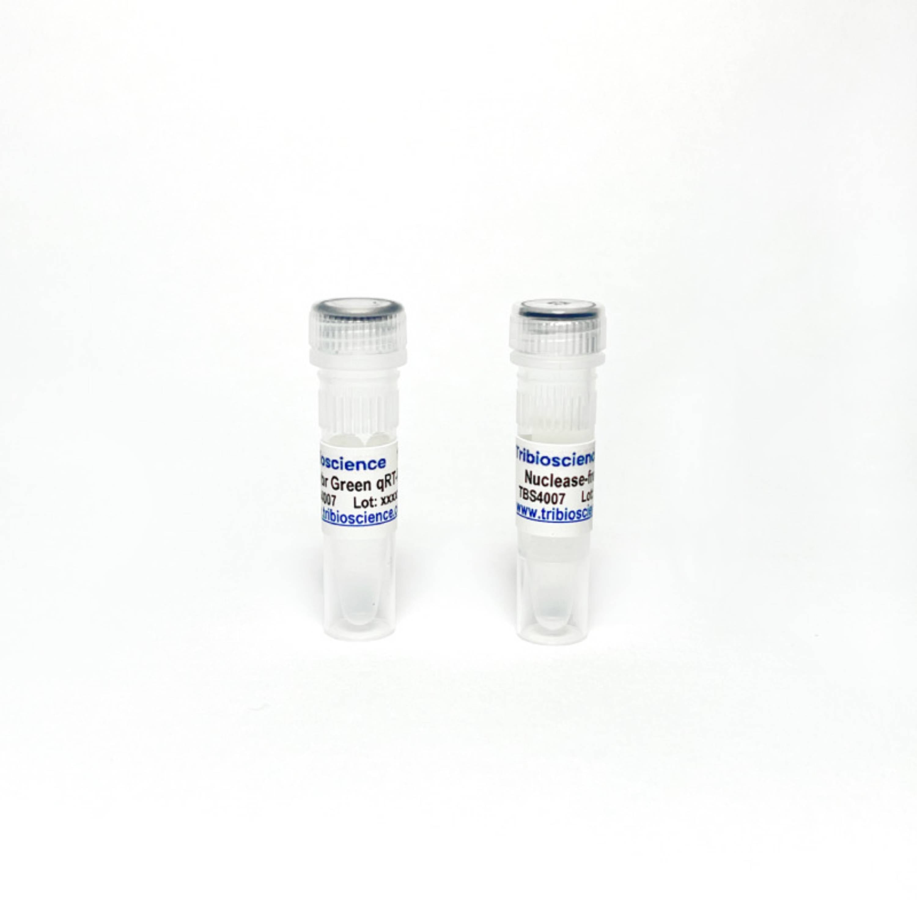 Tribioscience One-Step Sybr qRT-PCR (TBS4007)