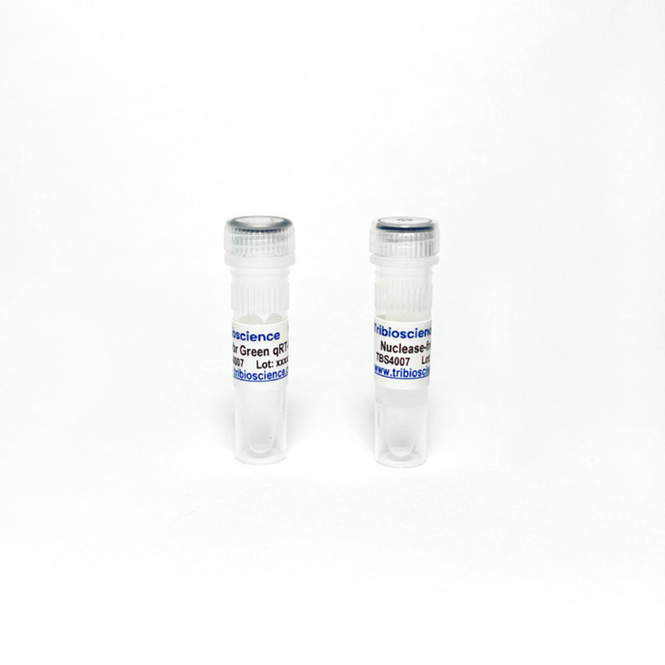 Tribioscience One-Step Sybr qRT-PCR (TBS4007)