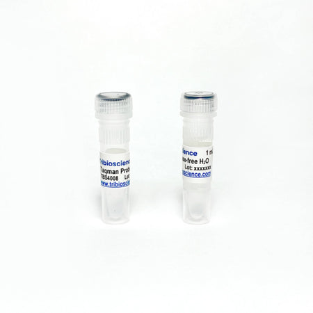 Tribioscience One-Step TaqProbe qRT-PCR Kit (TBS4008)