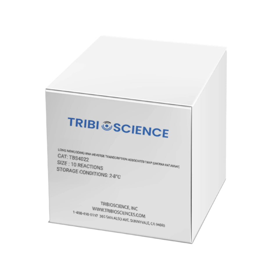 Tribioscience Long Noncoding RNA Reverse Transcription Associated Trap (lncRNA RAT Assay)
