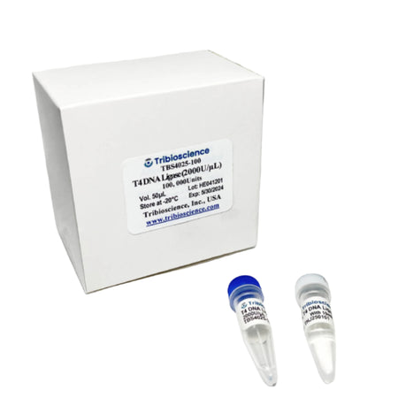 Tribioscience T4 DNA Ligase