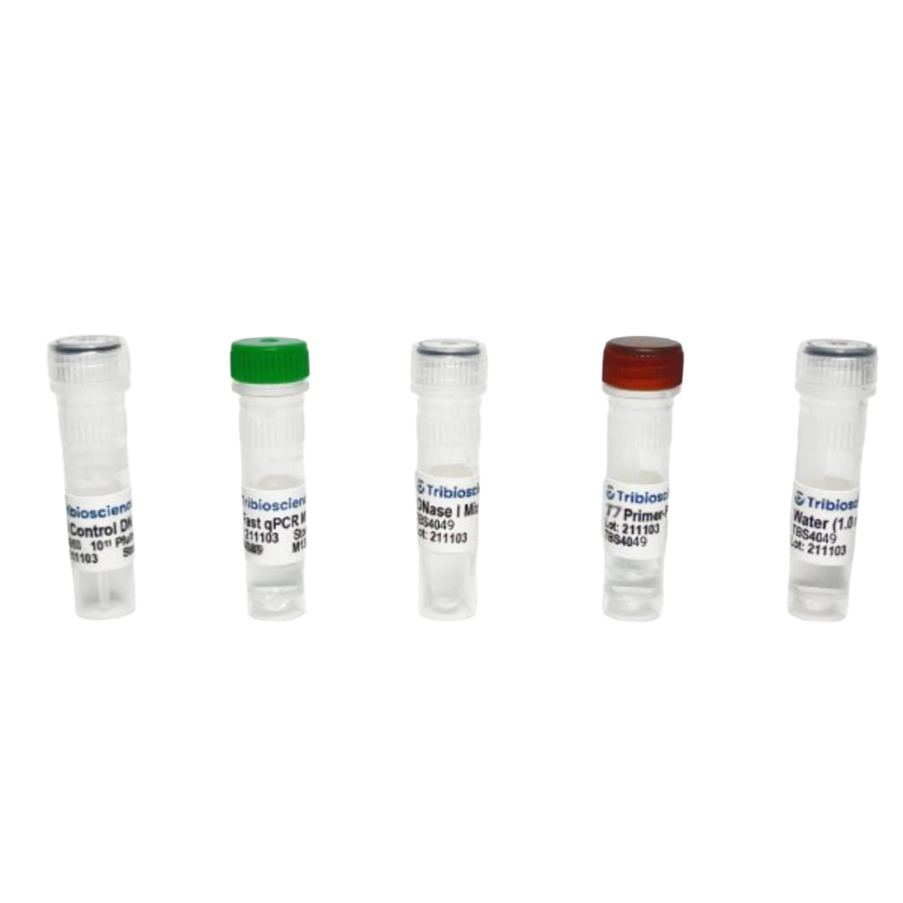 Tribioscience T7 Phage/Bacteriophage qPCR Titer (TBS4049)