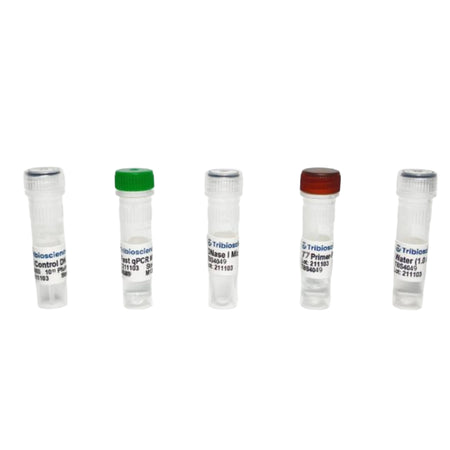 Tribioscience T7 Phage/Bacteriophage qPCR Titer (TBS4049)