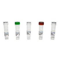 Tribioscience T7 Phage/Bacteriophage qPCR Titer (TBS4049)