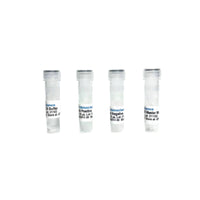 Tribioscience Arabis Mosaic Virus (ArMV) RT-qPCR Detection System (TBS42014)