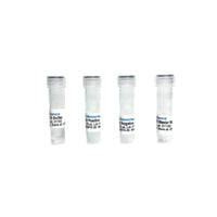 Tribioscience Hop Latent Viroid (HLVD) RT-qPCR Detection System (TBS42015)