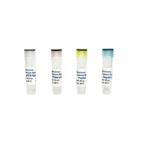 Tribioscience Fusarium Species TaqProbe qPCR Detection (TBS42019)