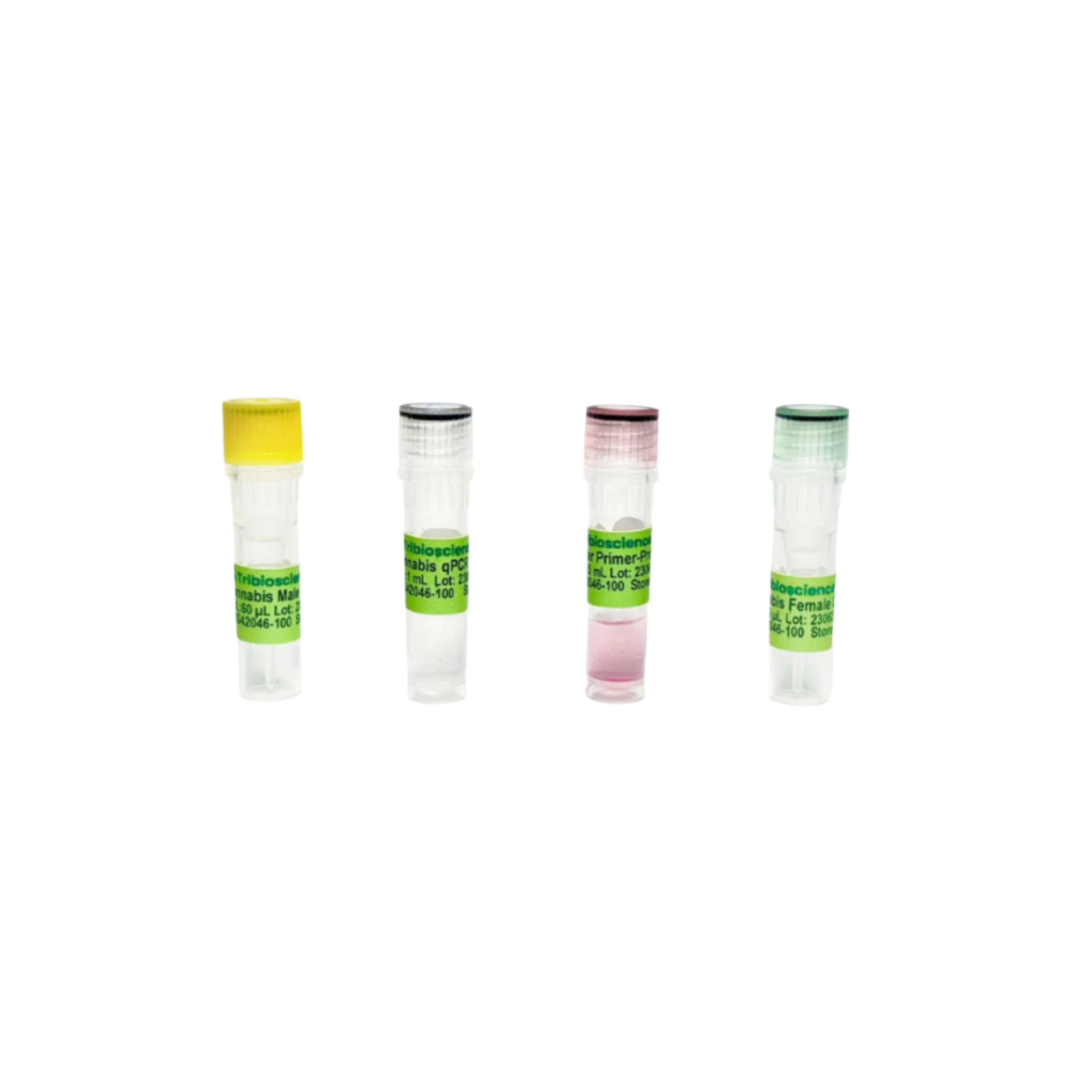 Tribioscience Cannabis Gender Detection qPCR (TBS42046)