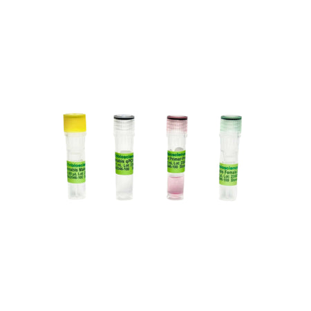 Tribioscience Cannabis Gender Detection qPCR (TBS42046)
