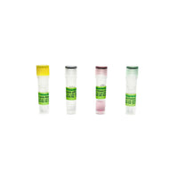 Tribioscience Cannabis Gender Detection qPCR (TBS42046)