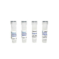 Tribioscience Pseudomonas Aeruginosa Detection qPCR (TBS42047)