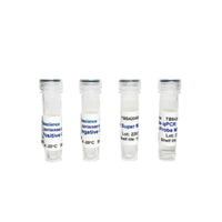 Tribioscience Coliform-Enterobacteriaceae Detection qPCR (TBS42049)