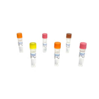 Tribioscience Bacteriophage MS2 RT-PCR Detection (TBS42052)
