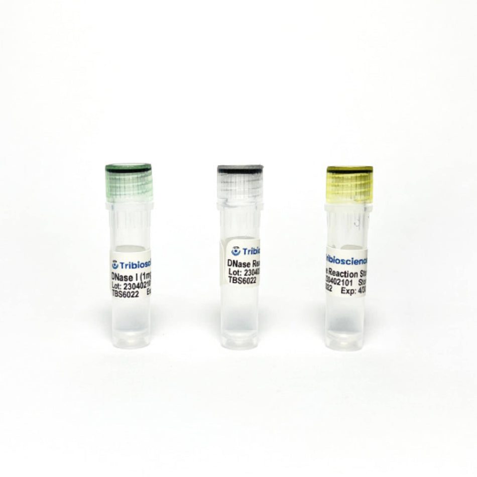 Tribioscience Tribo™ DNase I Solution (1 mg/mL)