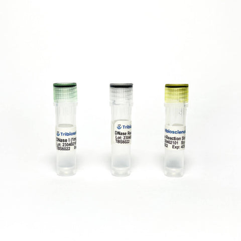 Tribioscience Tribo™ DNase I Solution (1 mg/mL)