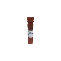 Tribioscience 40% Deionized Glyoxal Solution (TBS6023)