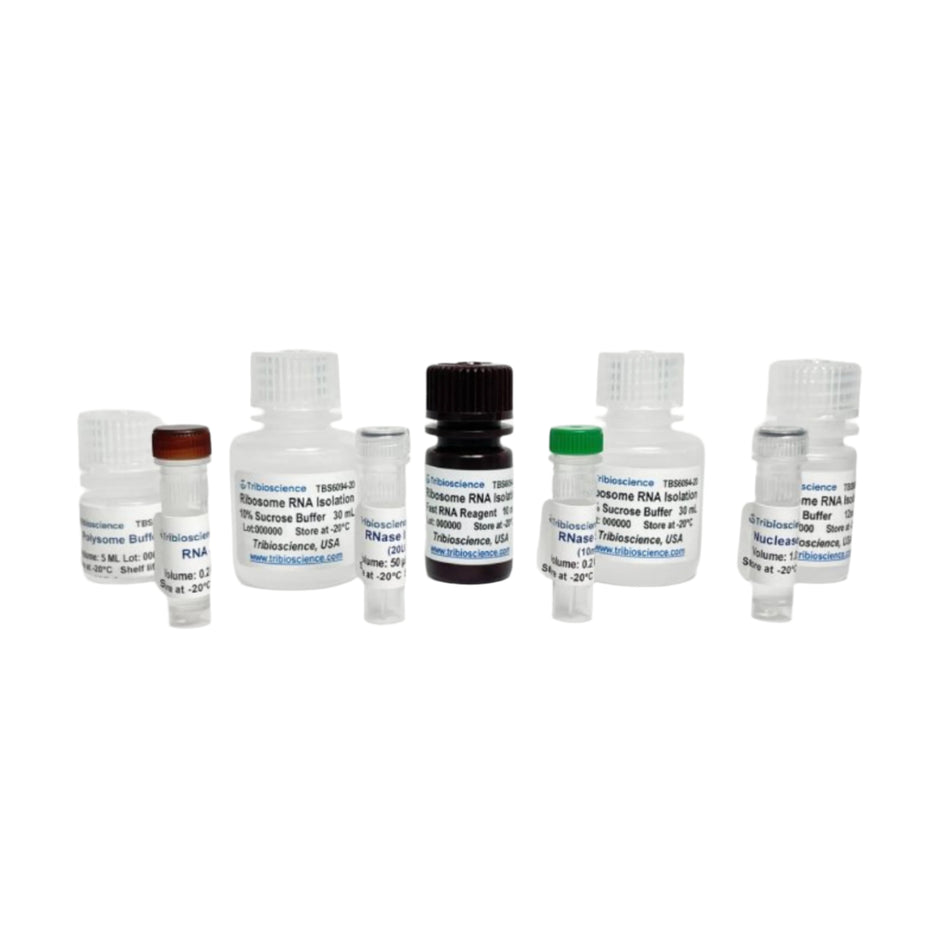 Tribioscience Ribosome RNA Purification Kit (TBS6094)