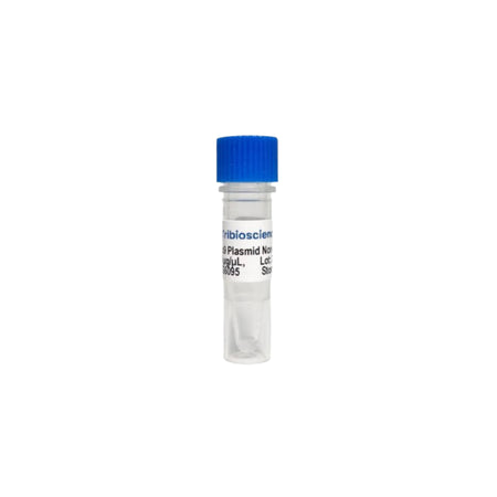 Tribioscience Cas9 Nuclease Plasmid Non-Viral Vector (TBS6095)