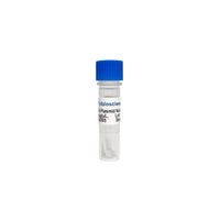 Tribioscience Cas9 Nuclease Plasmid Non-Viral Vector (TBS6095)
