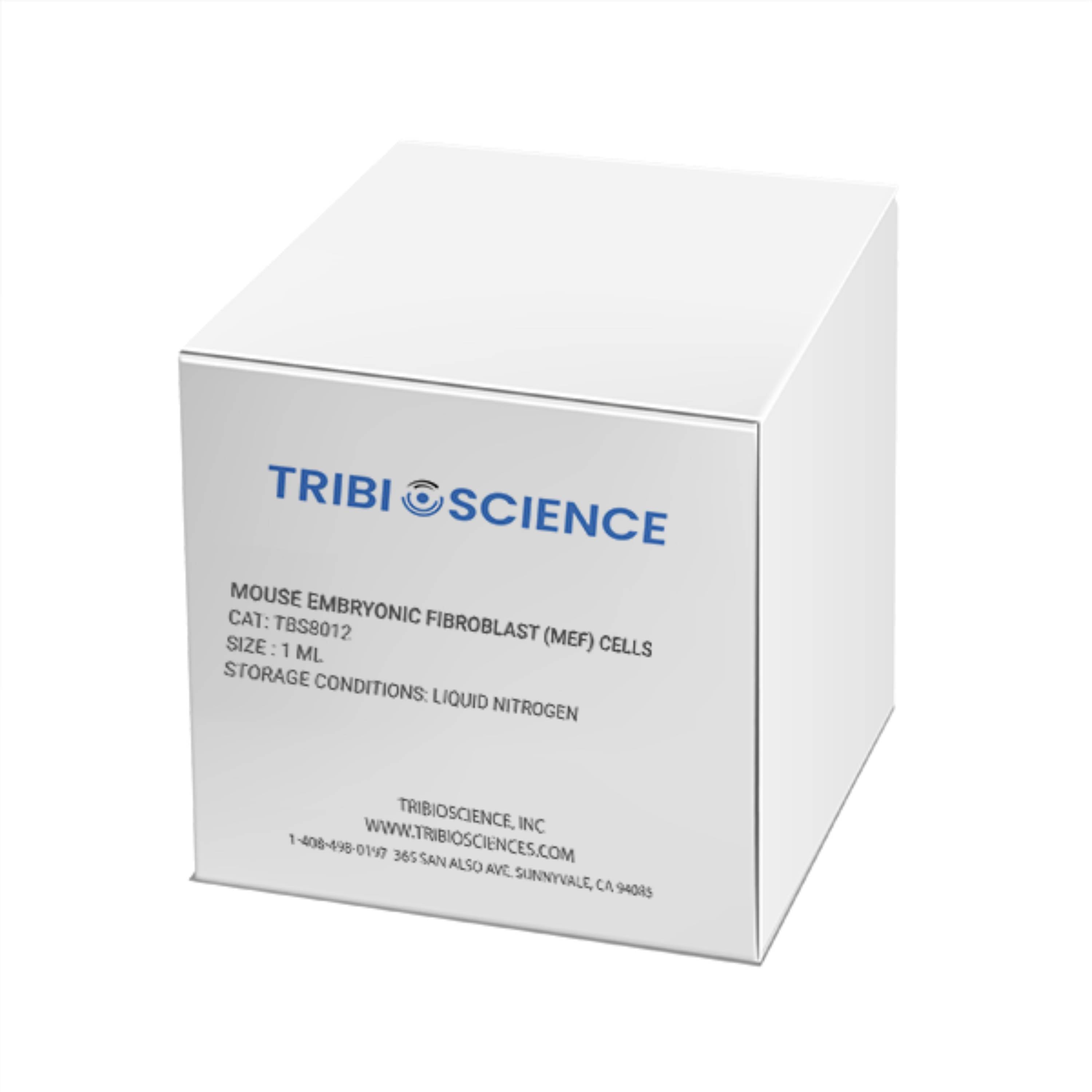 Tribioscience Mouse Embryonic Fibroblast (MEF) Cells (TBS8012)