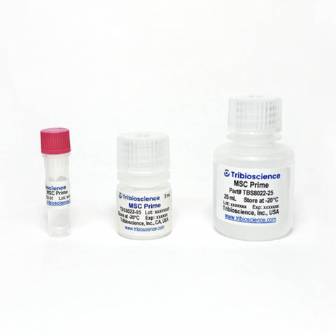 Tribioscience Tribo™ MSC Prime Medium, 25x (TBS8022)