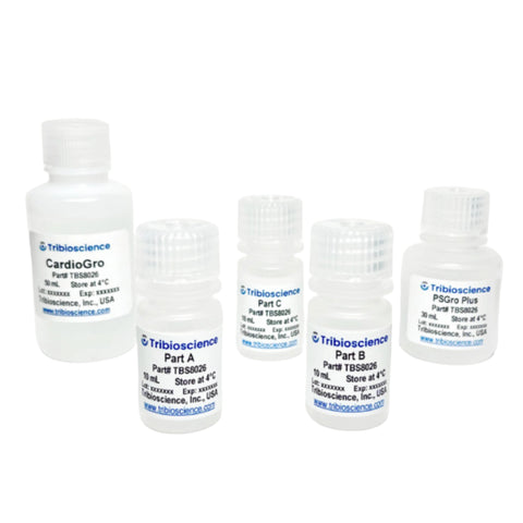 Tribioscience Tribo™ Cardiomyocyte Differentiation Kit (TBS8026)