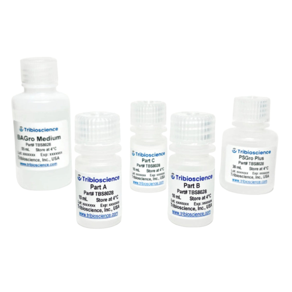Tribioscience Tribo™ Brown Adipocyte Differentiation Kit (TBS8028)