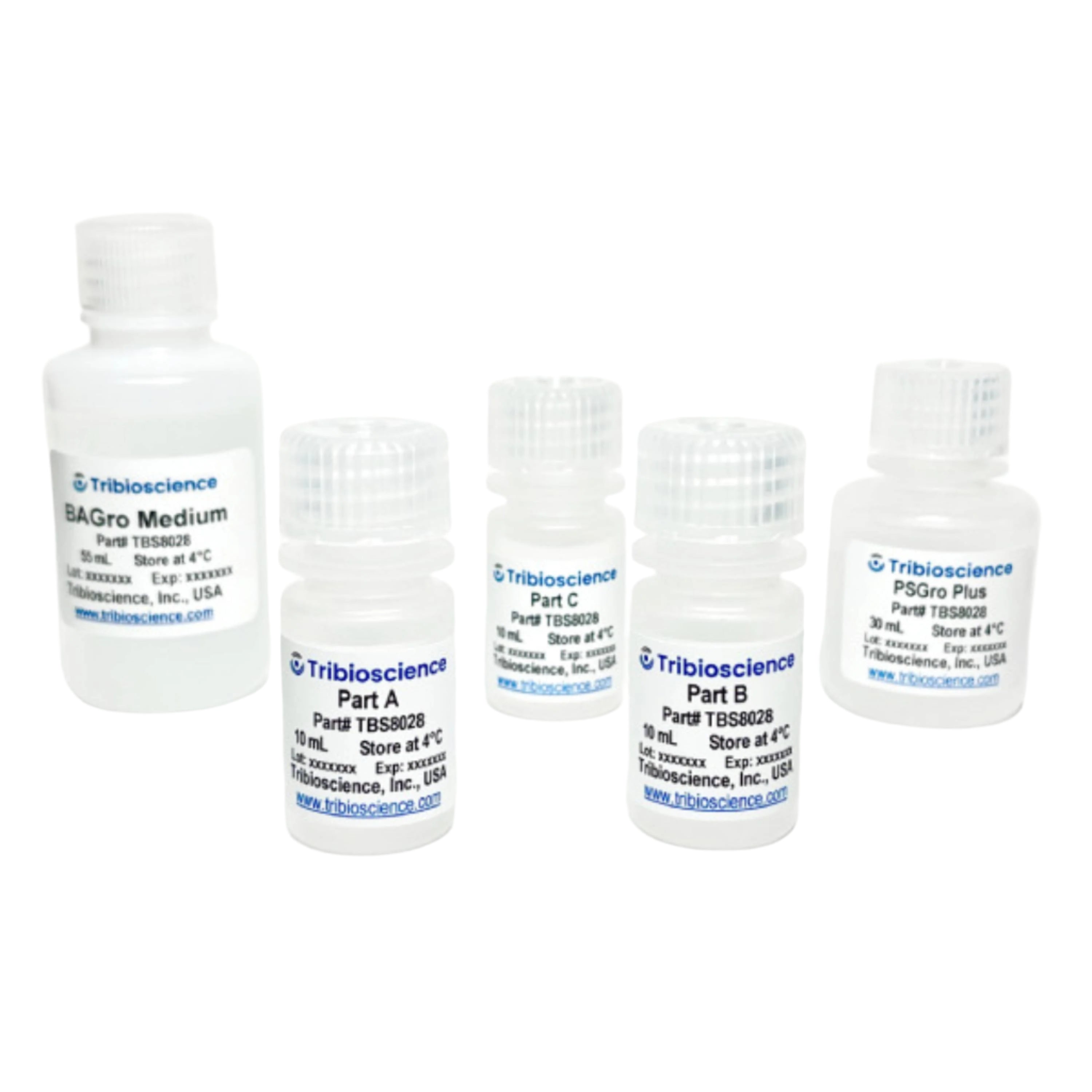Tribioscience Tribo™ Brown Adipocyte Differentiation Kit (TBS8028)