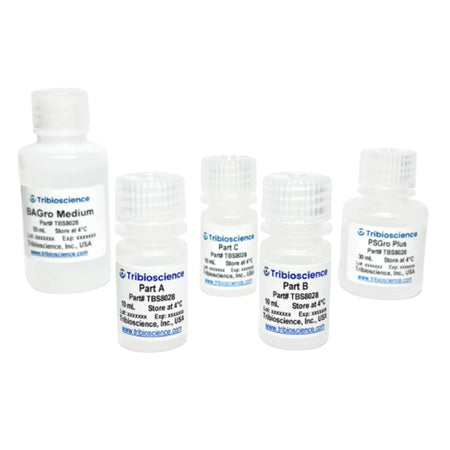 Tribioscience Tribo™ Brown Adipocyte Differentiation Kit (TBS8028)