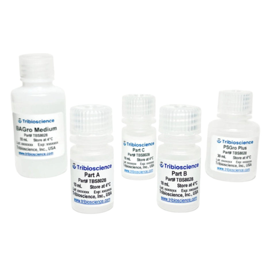 Tribioscience Tribo™ Brown Adipocyte Differentiation Kit (TBS8028)